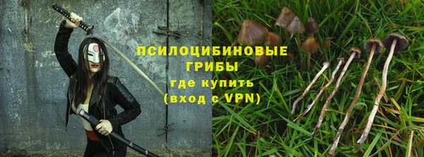 сатива Балабаново