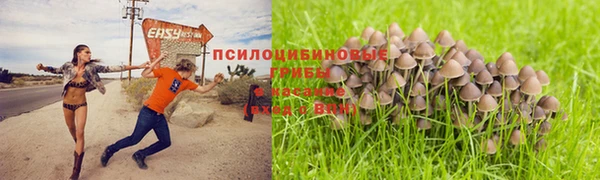 сатива Балабаново
