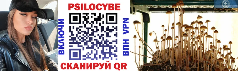 Псилоцибиновые грибы прущие грибы  цены   Ершов 