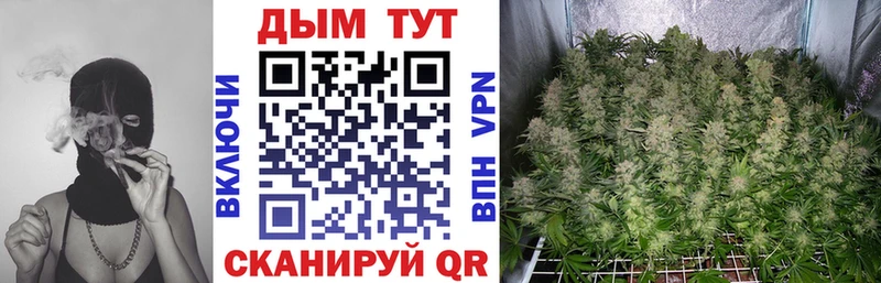 площадка как зайти  Ершов  Канабис конопля 